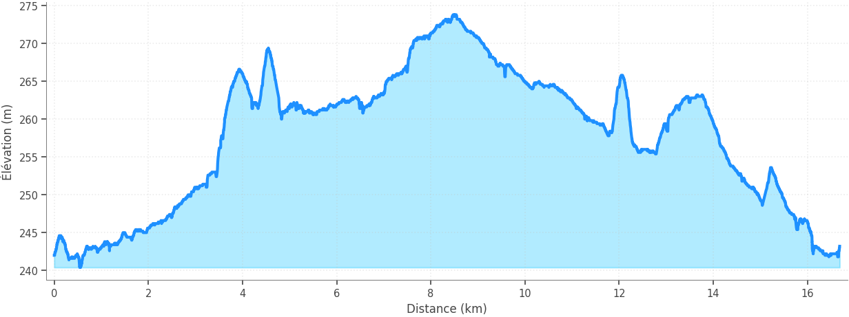 Profil altimétrique
