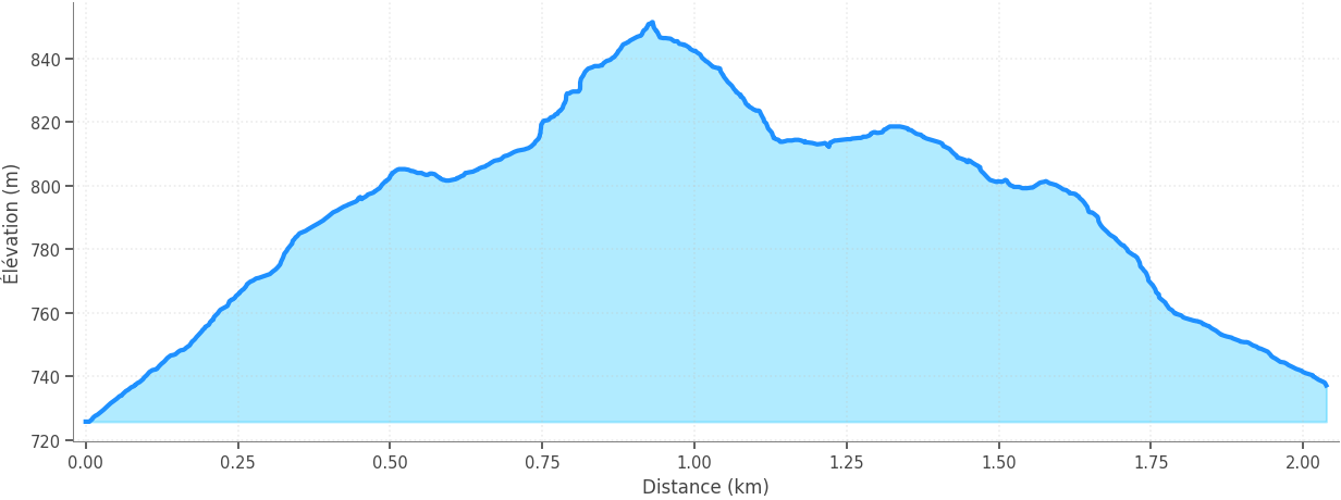 Profil altimétrique