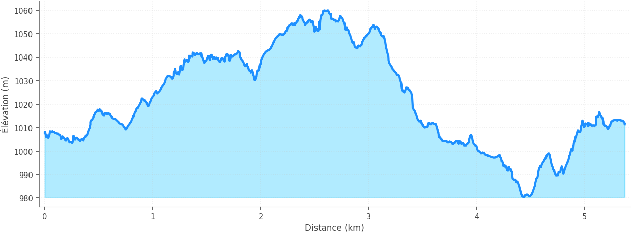 Profil altimétrique