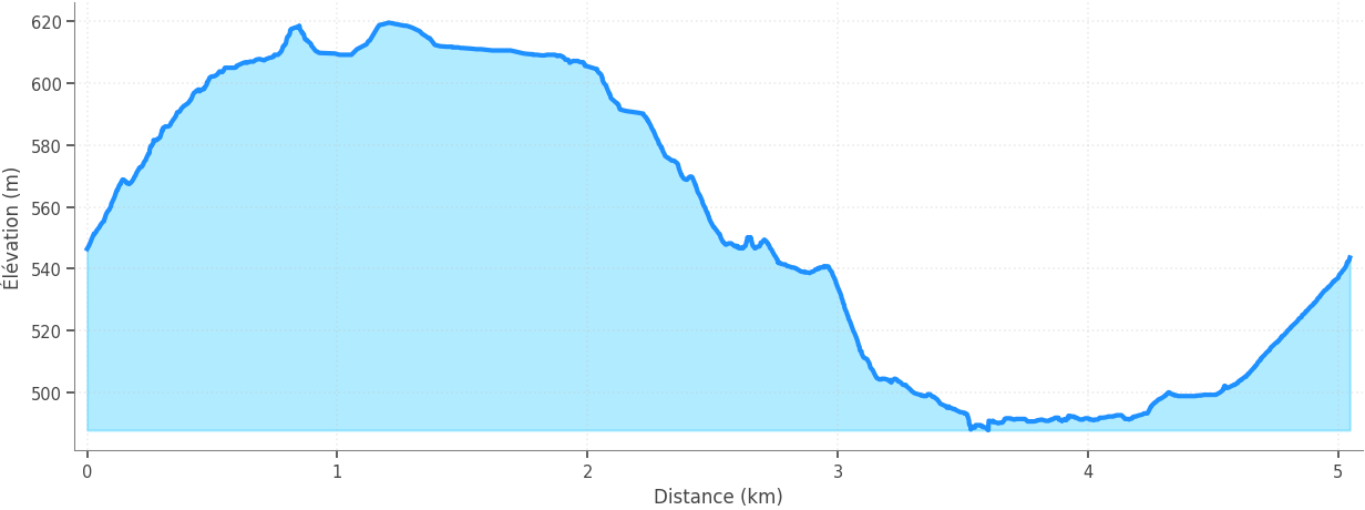 Profil altimétrique