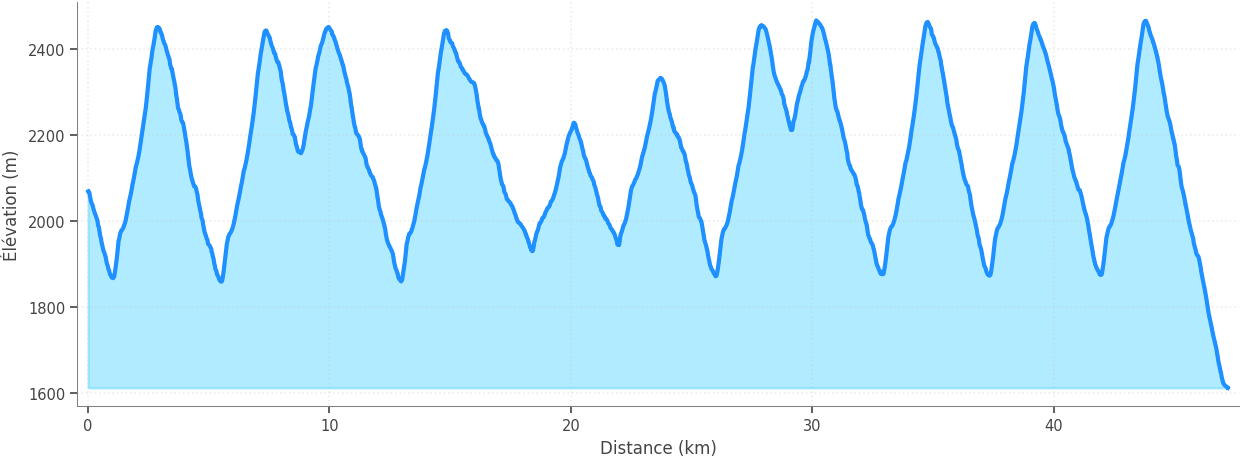 Profil altimétrique