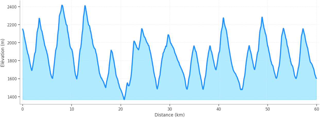 Profil altimétrique