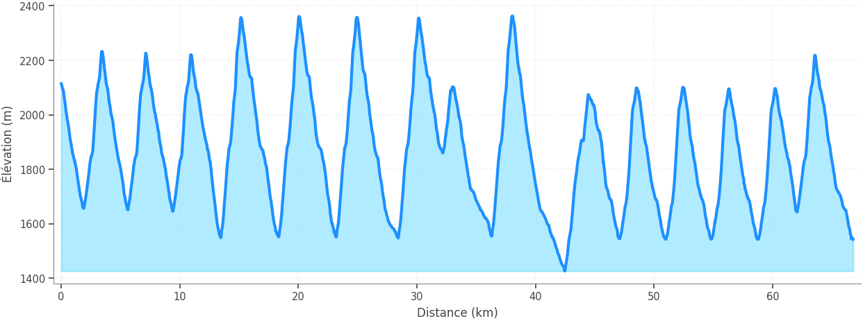 Profil altimétrique
