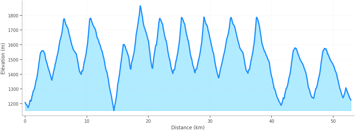 Profil altimétrique