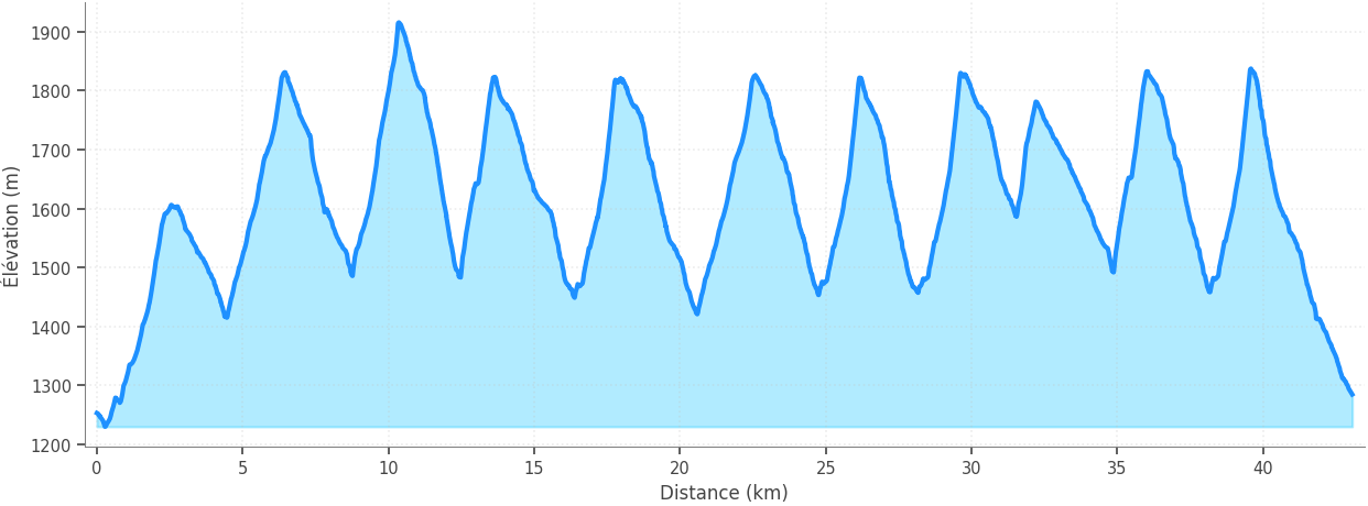 Profil altimétrique