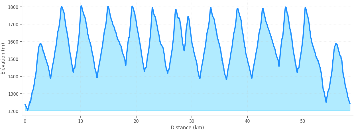 Profil altimétrique