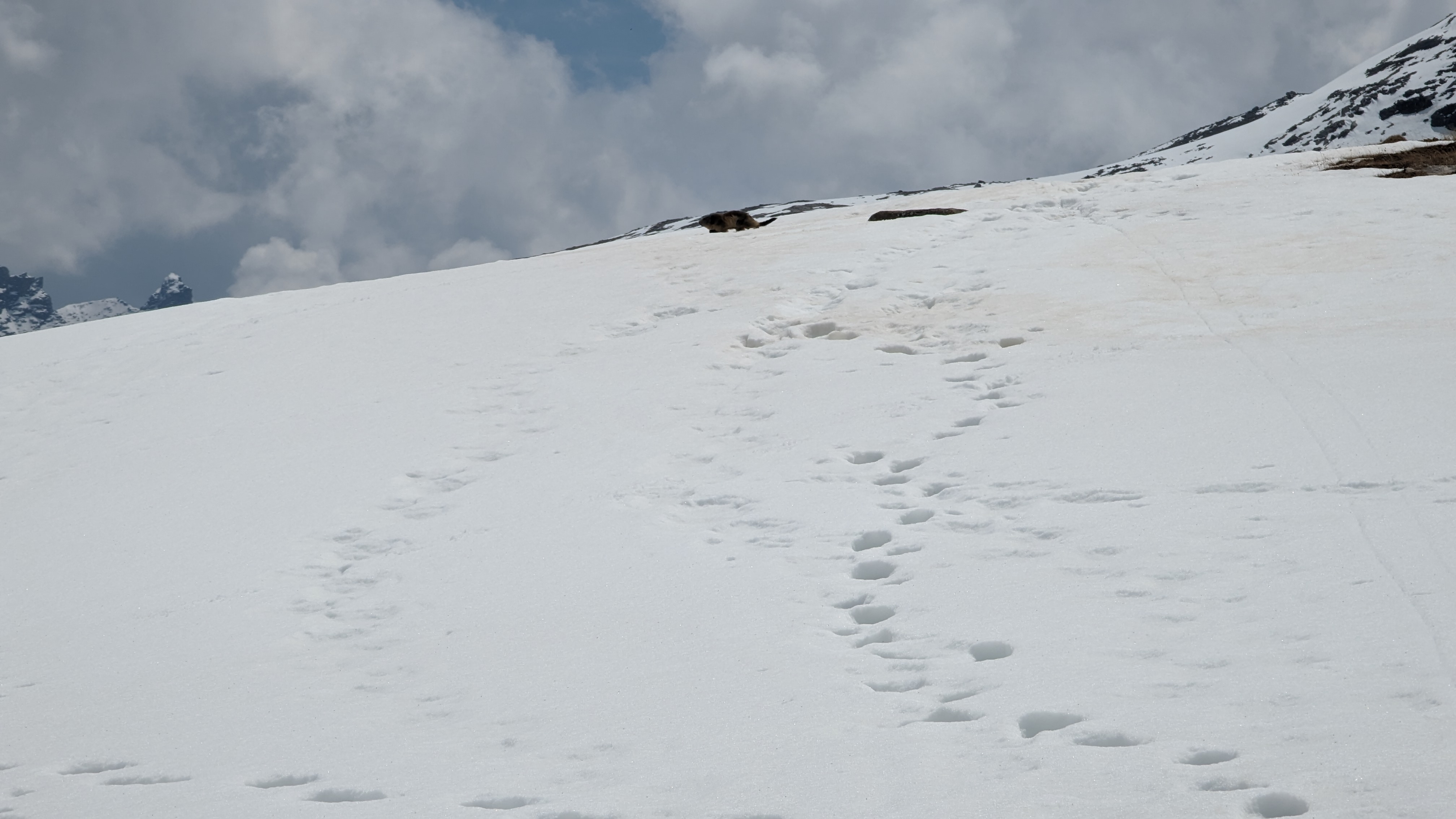 Aperçu de la sortie Grosse randonnée à Col de la Vanoise