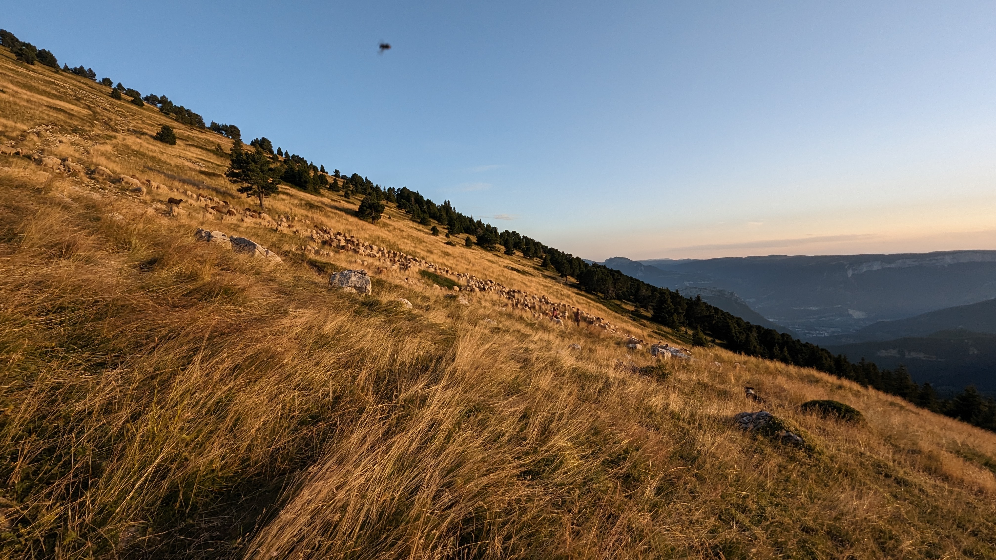 Image 5 pour Chamechaude at Sundown