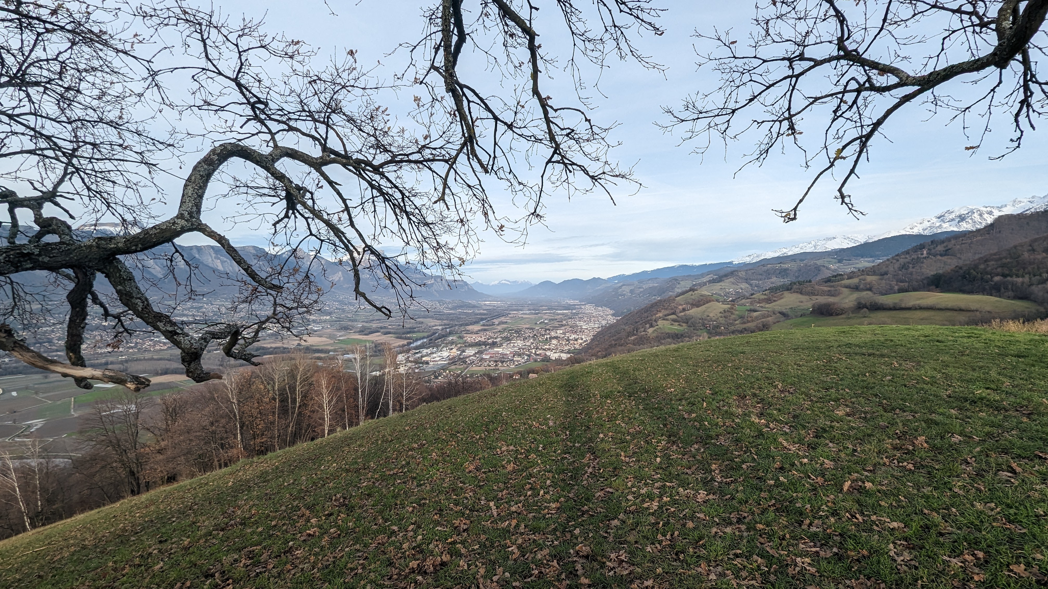 Aperçu de la sortie Randonnée au chêne de Venon