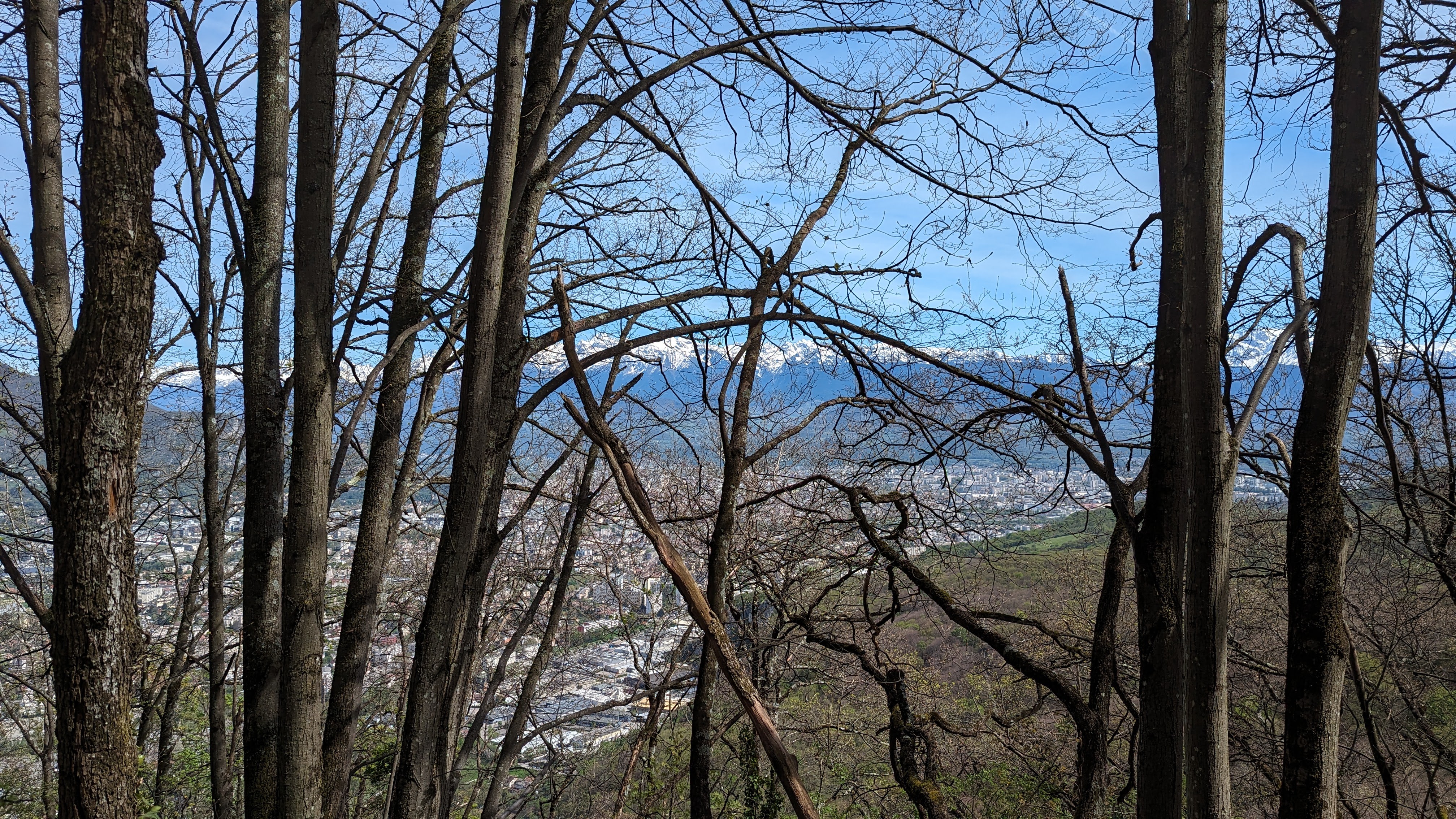 Image 2 pour Randonnée dans les Bois des Vouillants