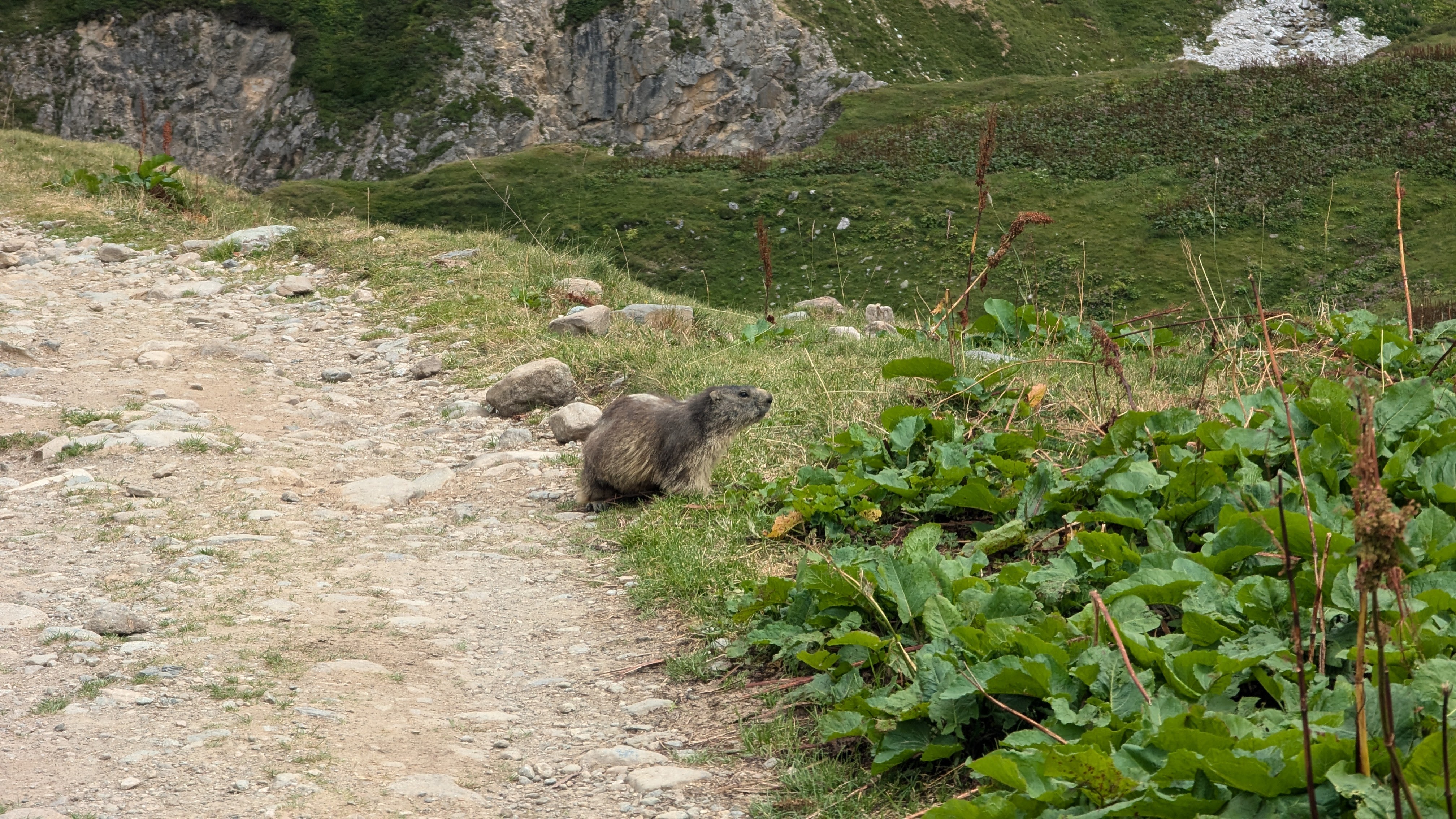 Image 1 pour Refuge de Peclet-Polset