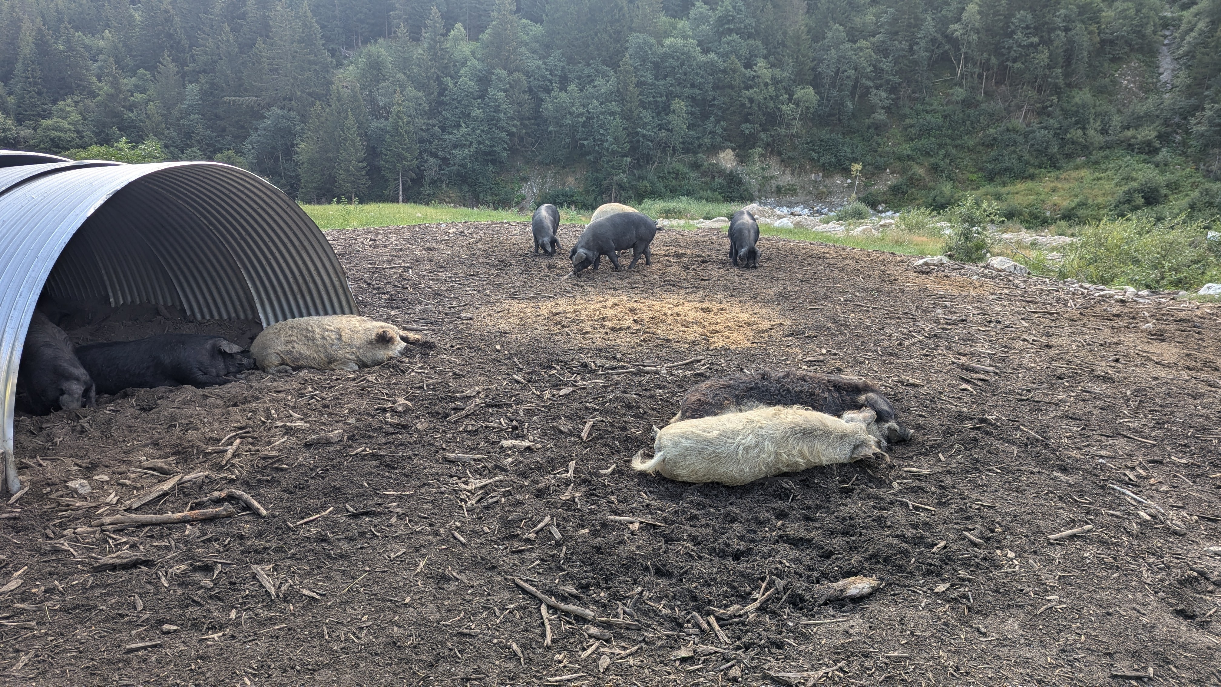 Image 5 pour Refuge de Peclet-Polset