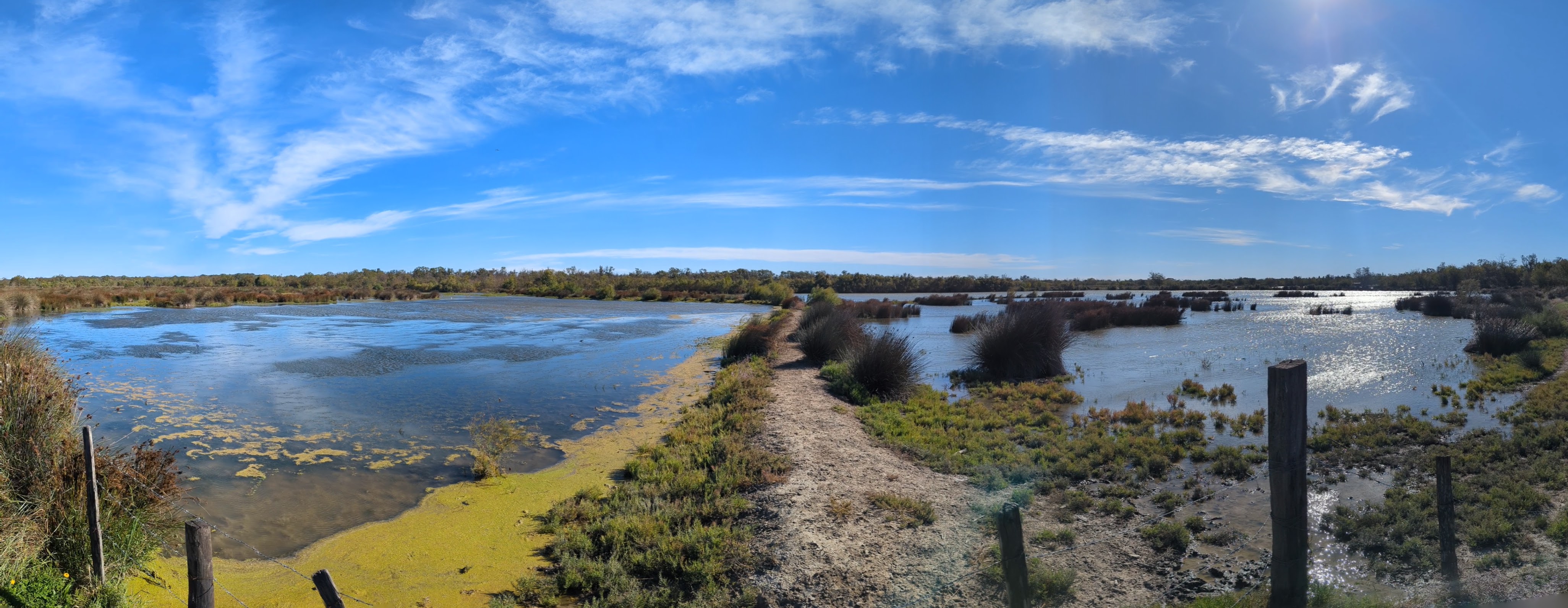 Image 5 pour Marais de Vigueirat