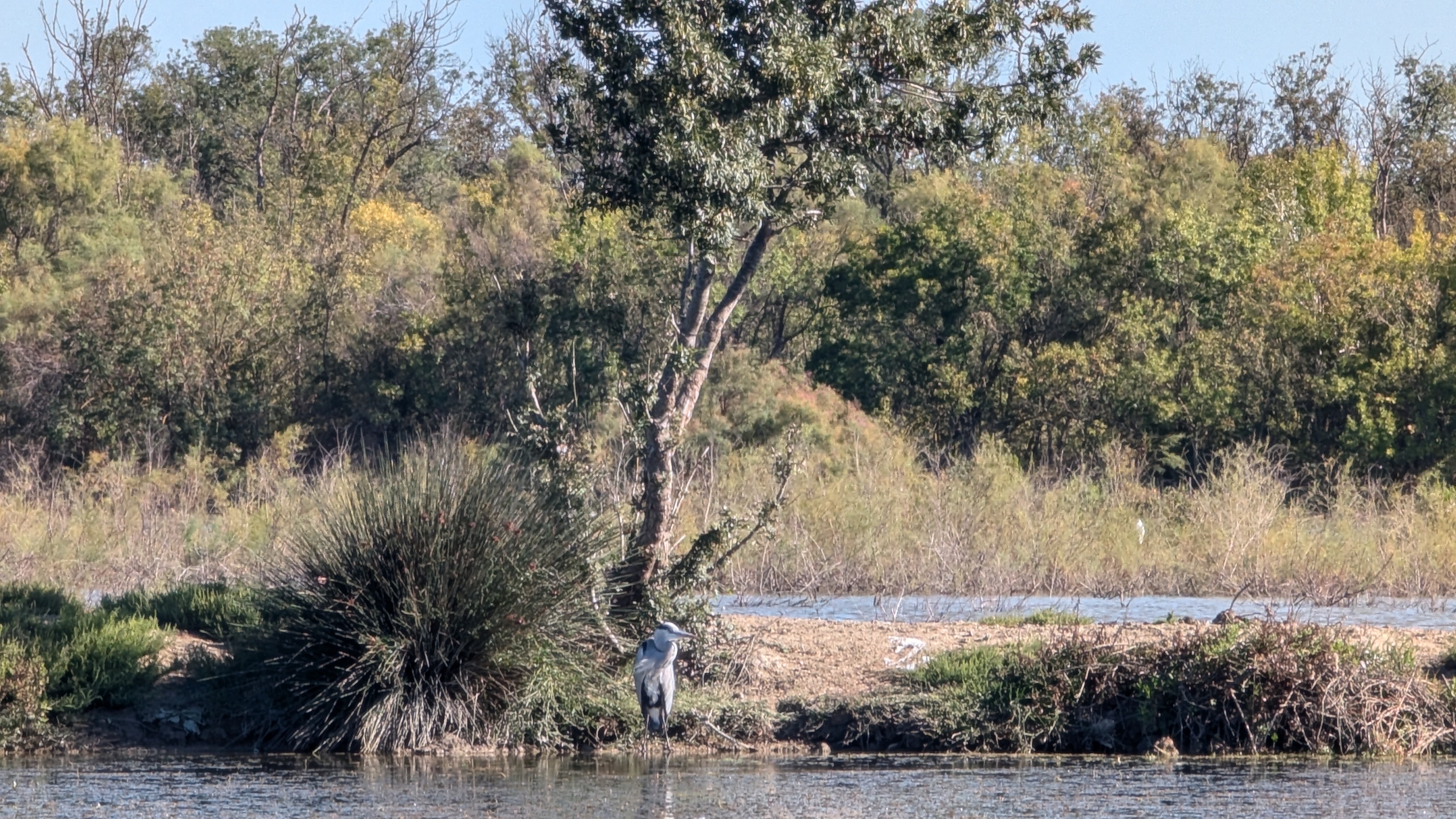 Image 6 pour Marais de Vigueirat