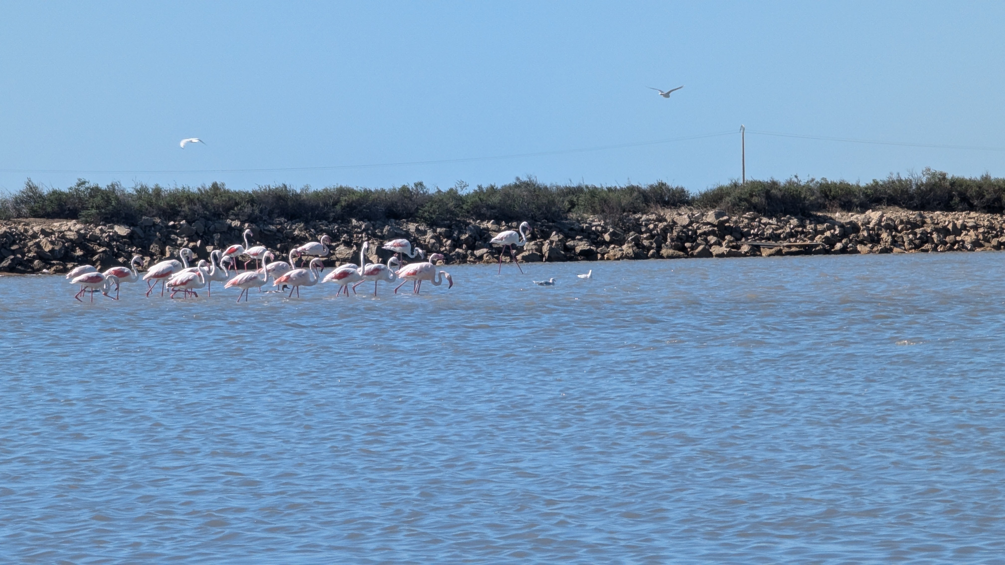 Image 1 pour Balade dans les Salins