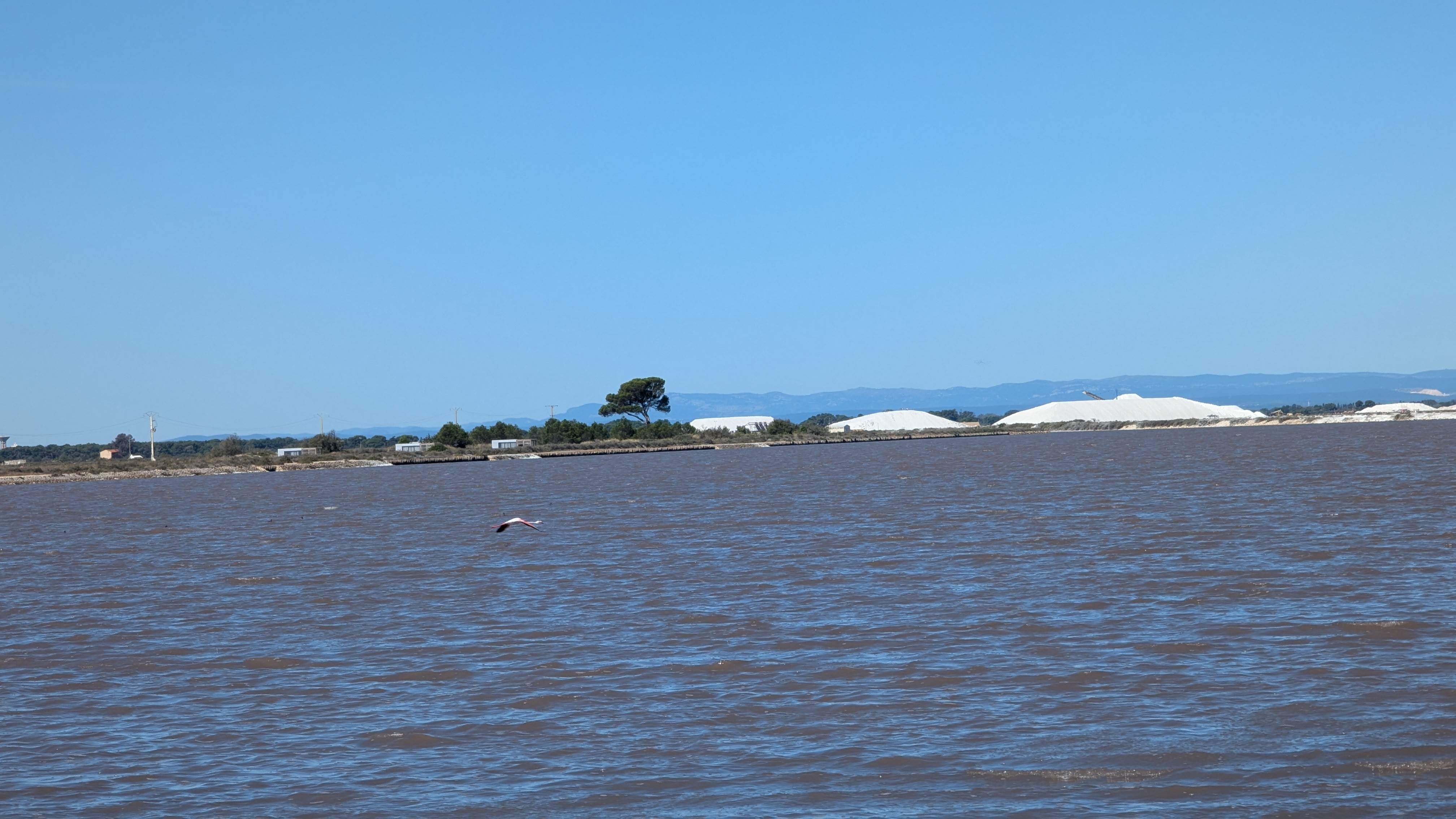 Image 2 pour Balade dans les Salins