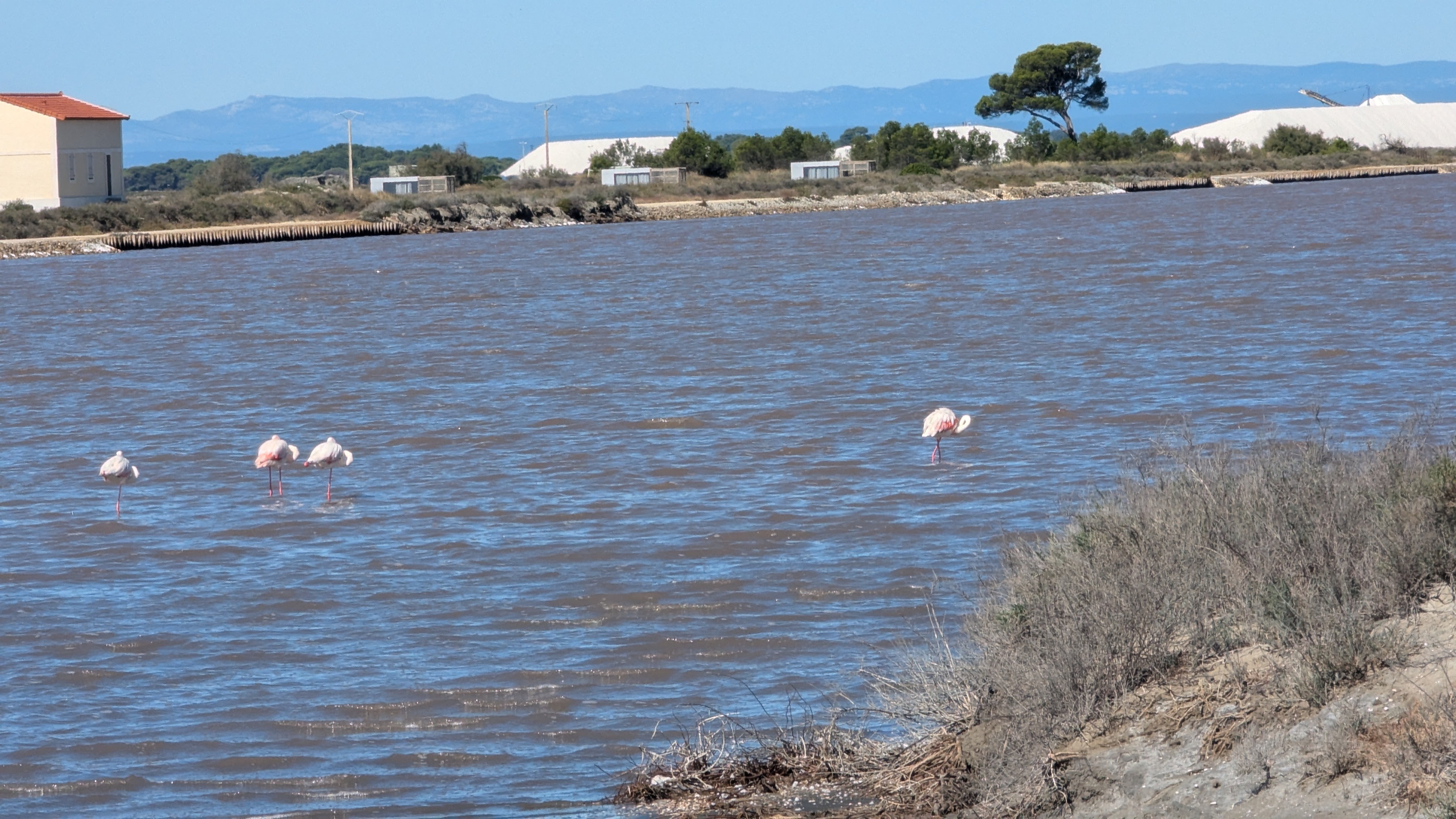 Image 3 pour Balade dans les Salins