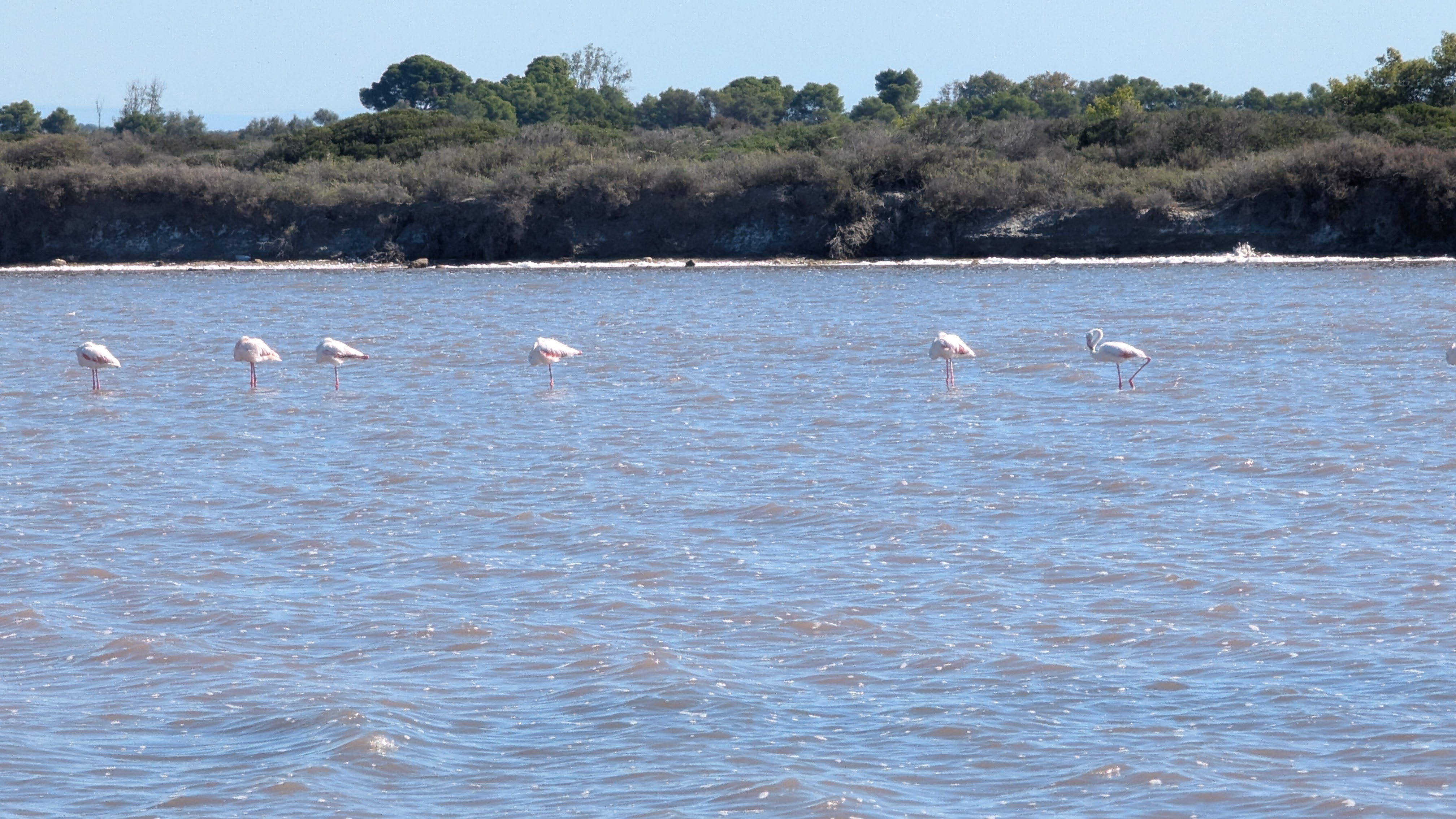 Image 4 pour Balade dans les Salins