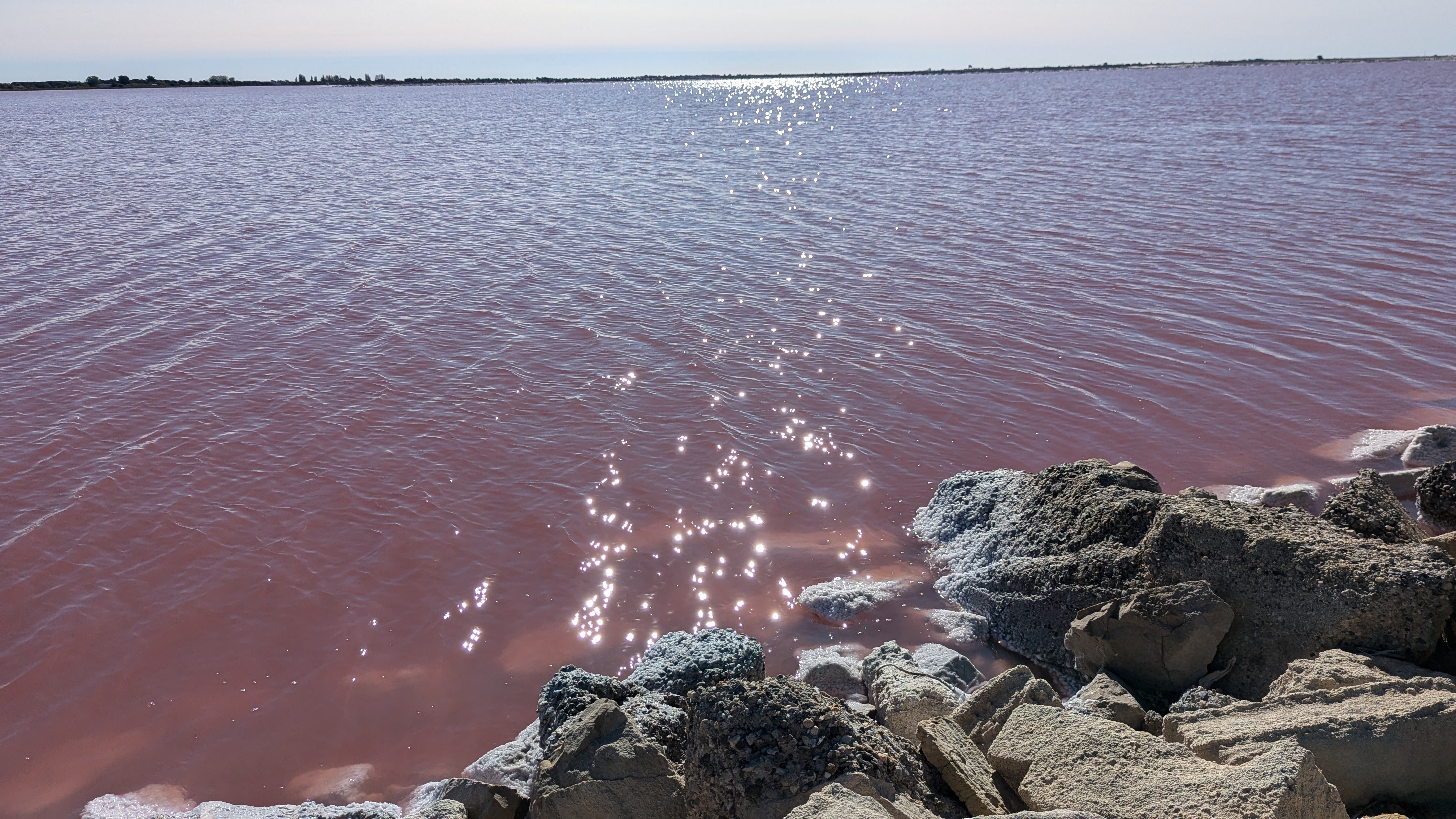 Image 5 pour Balade dans les Salins