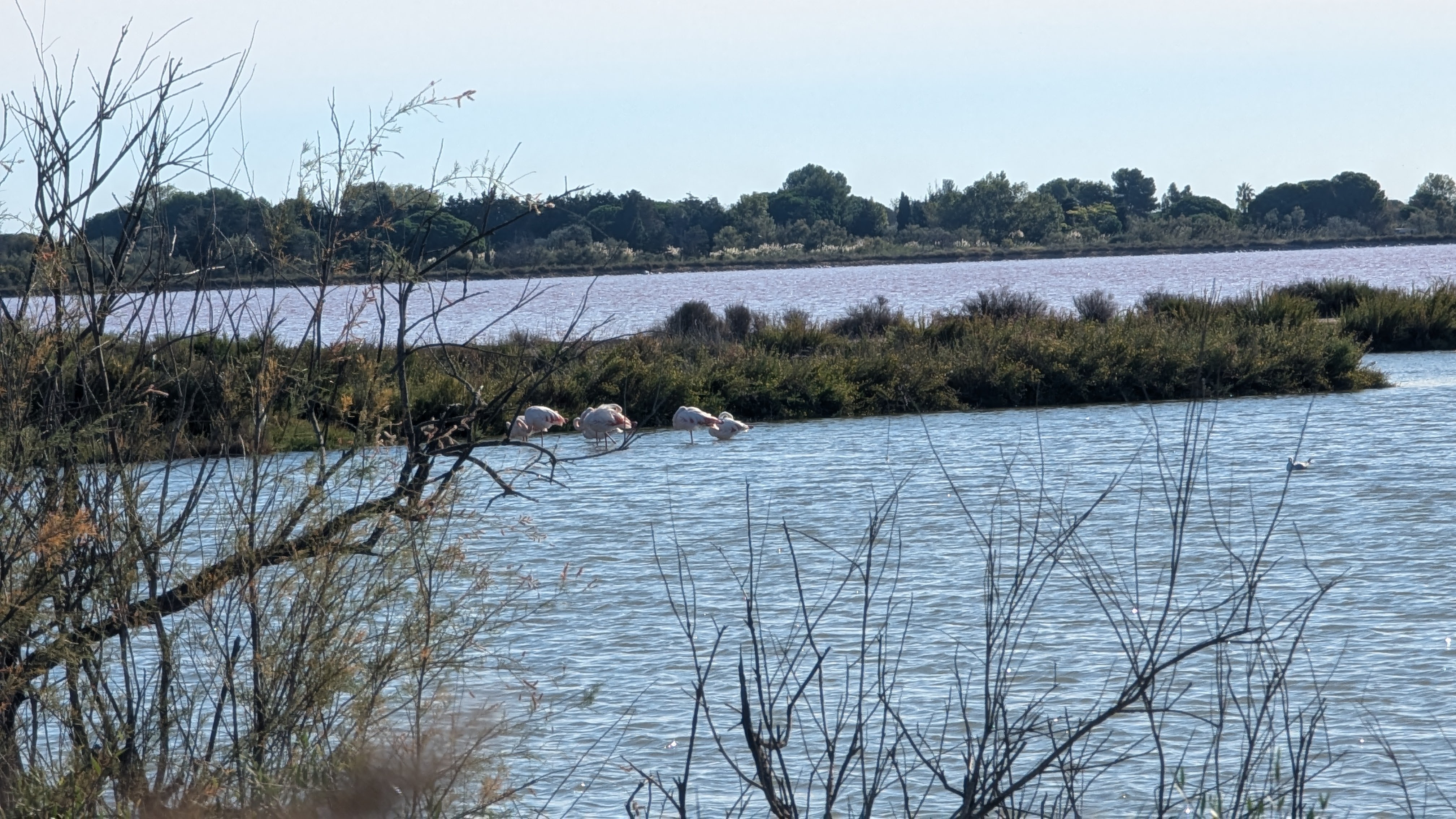 Image 6 pour Balade dans les Salins