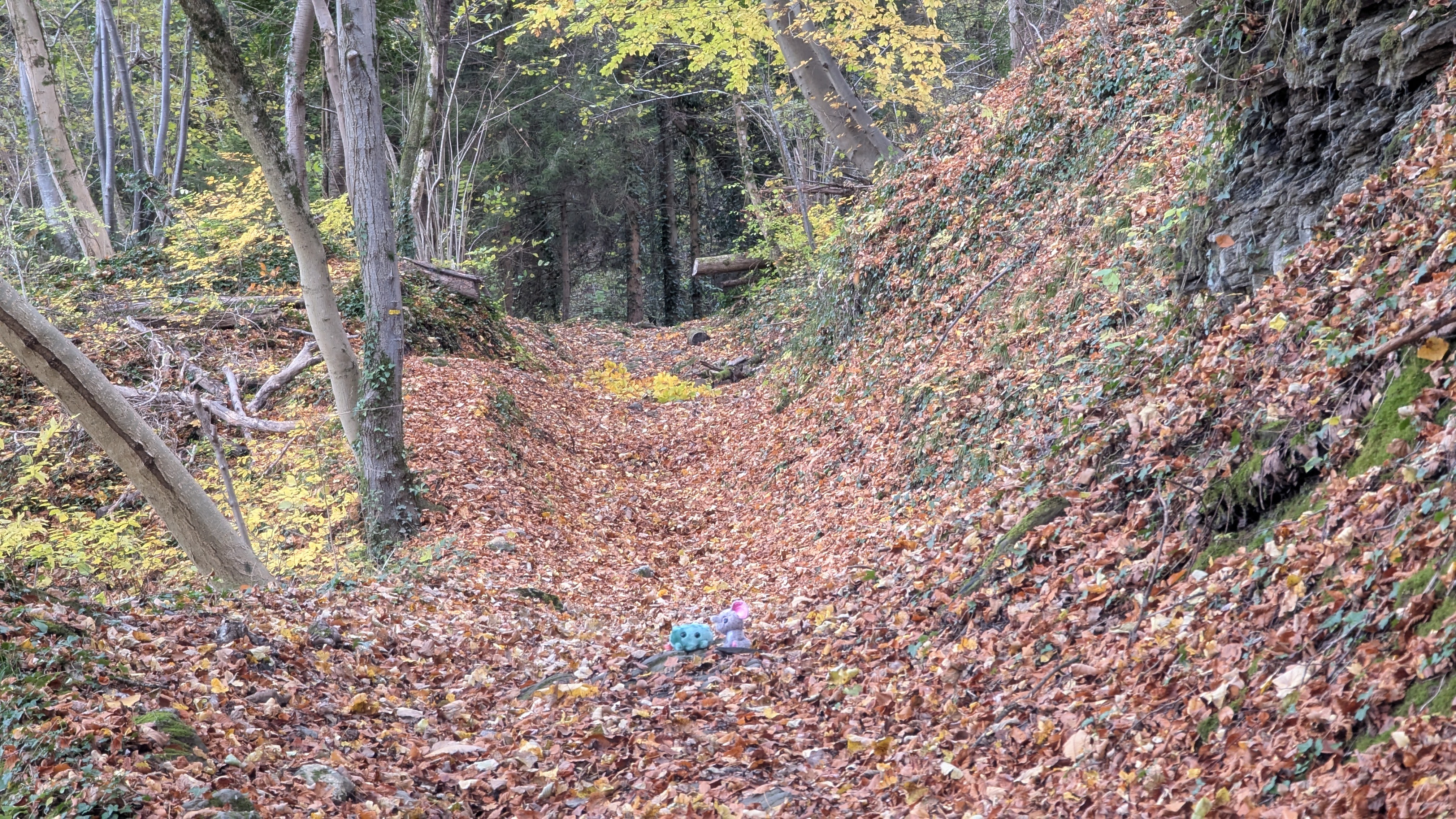 Image 4 pour Sortie au Mollard au dessus du Versoud