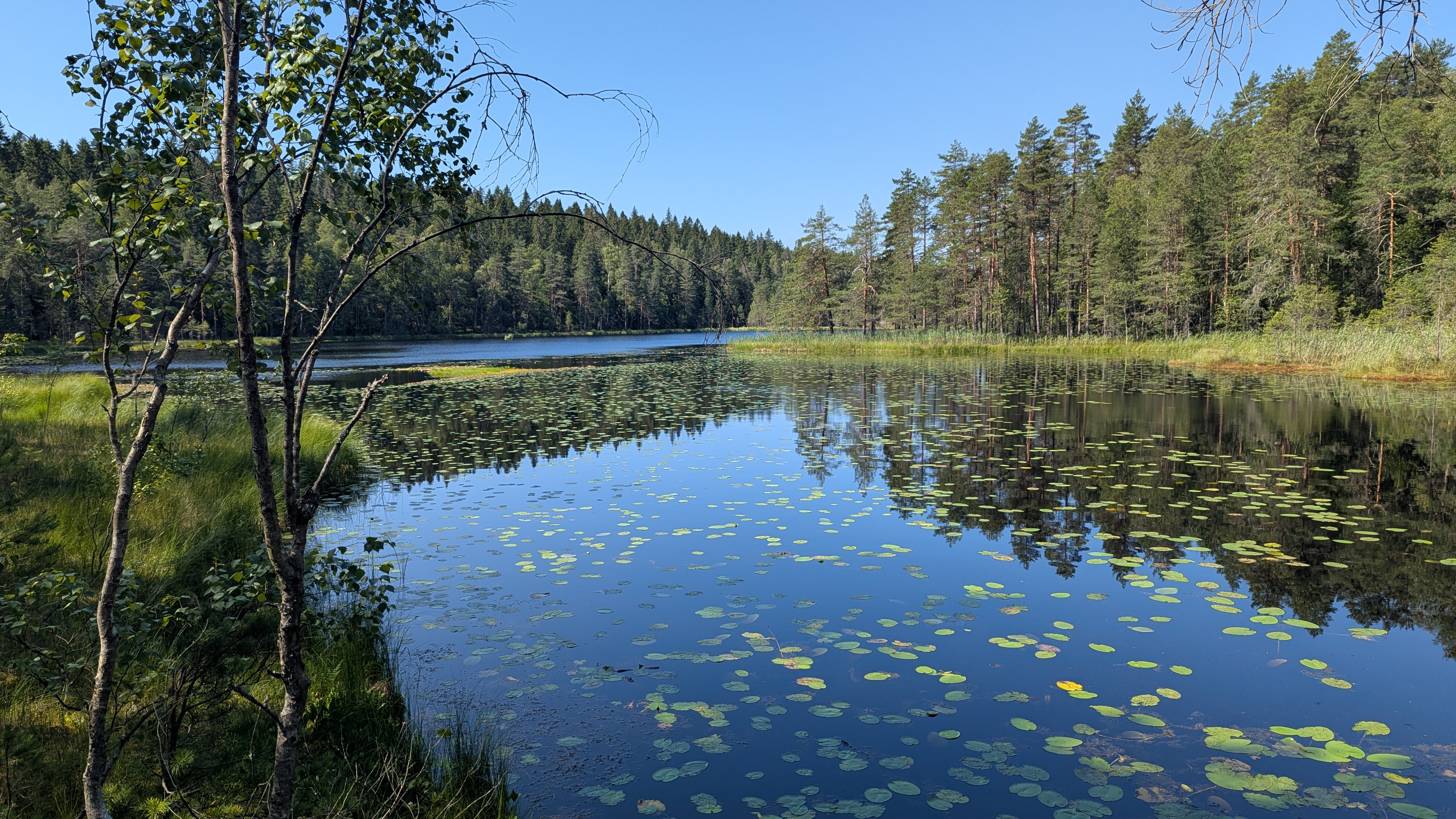 Img carrousel pour Espoo Randonnée