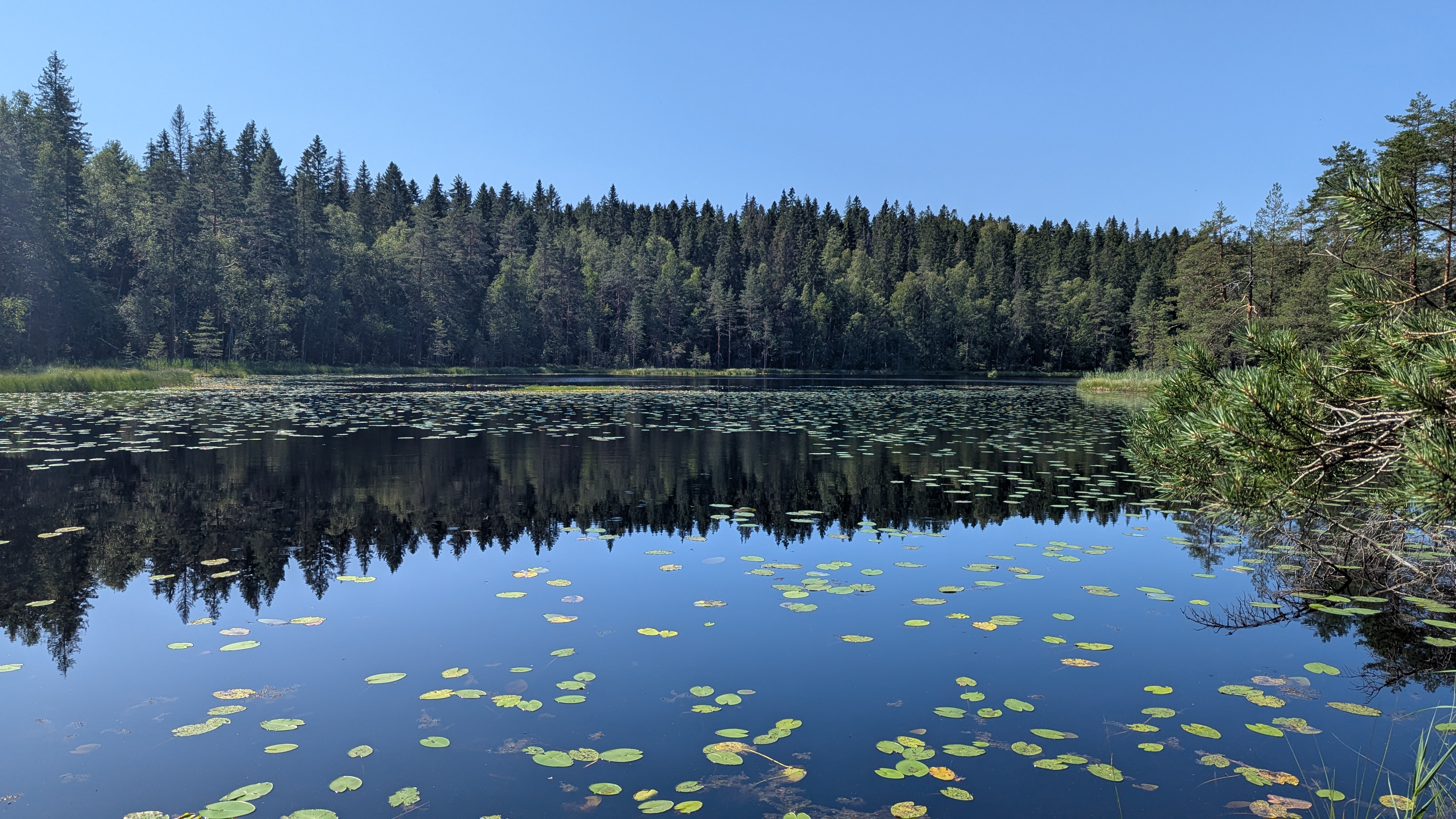 Img carrousel pour Espoo Randonnée