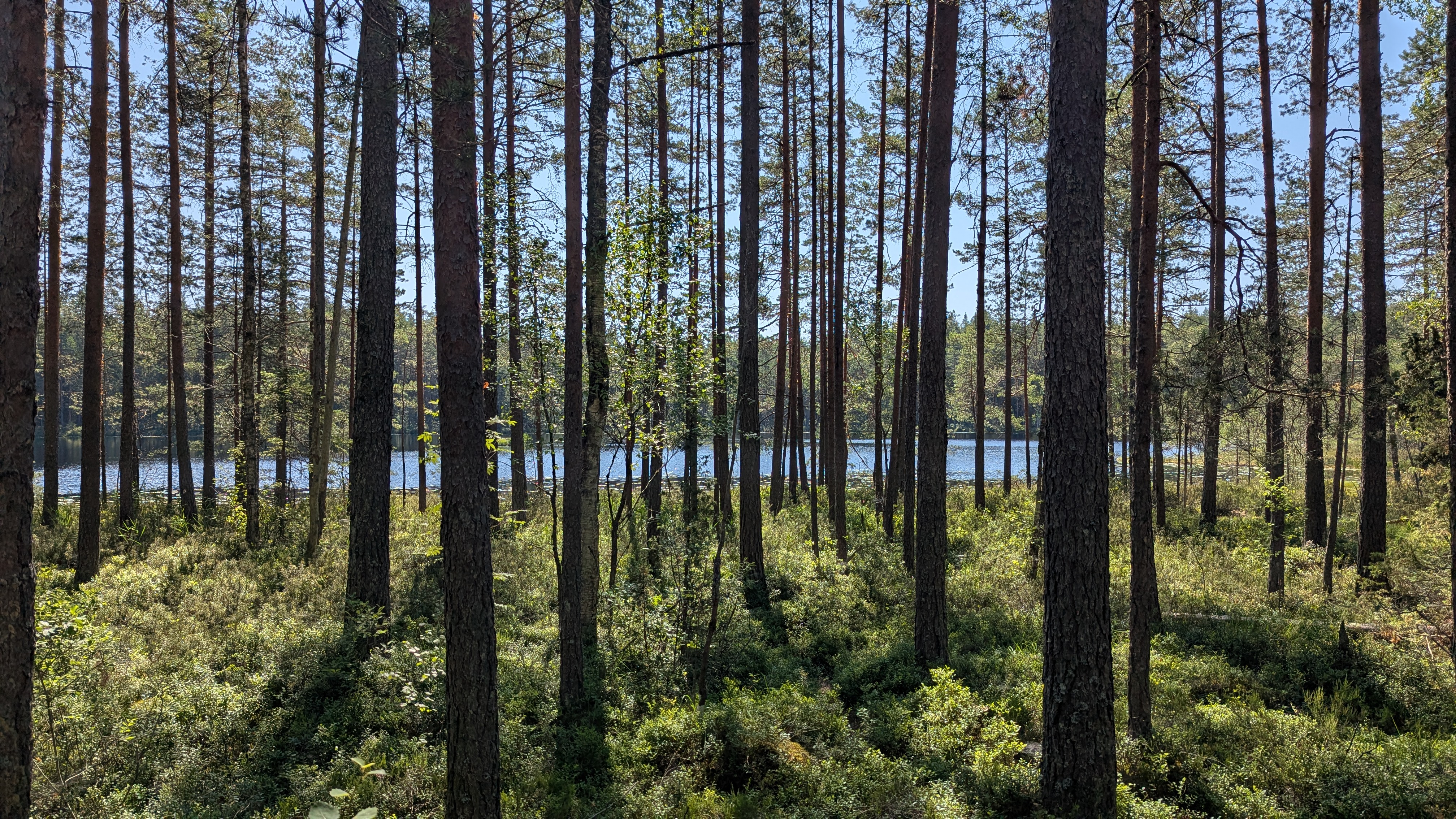 Img carrousel pour Espoo Randonnée