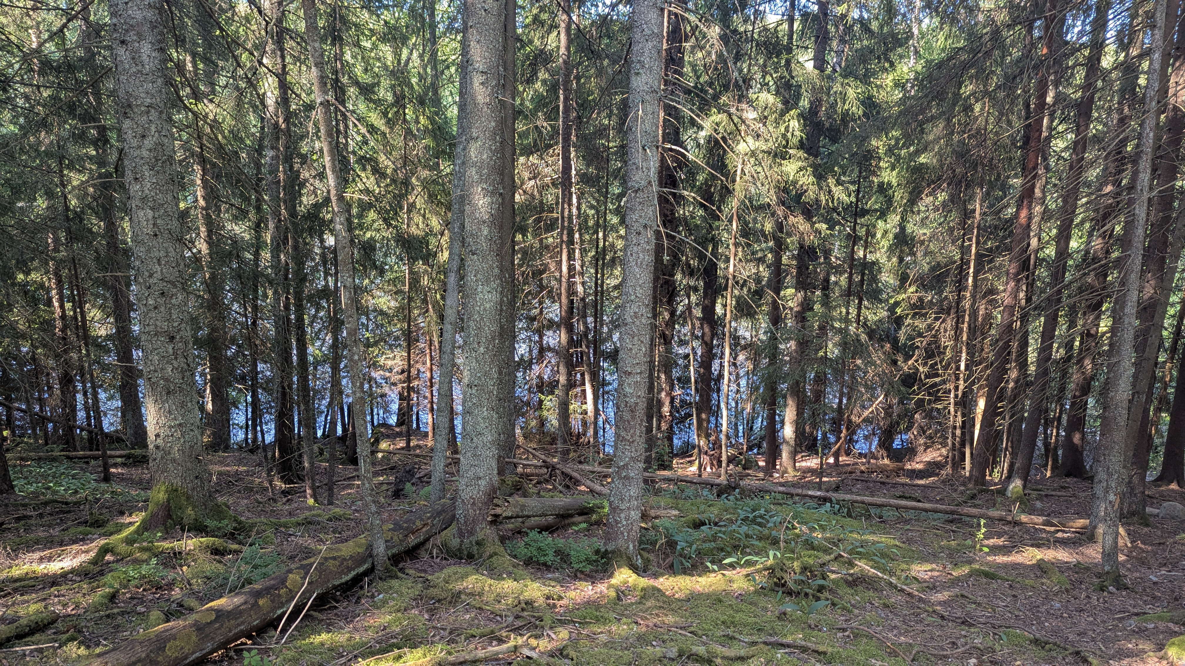 Img carrousel pour Espoo Randonnée
