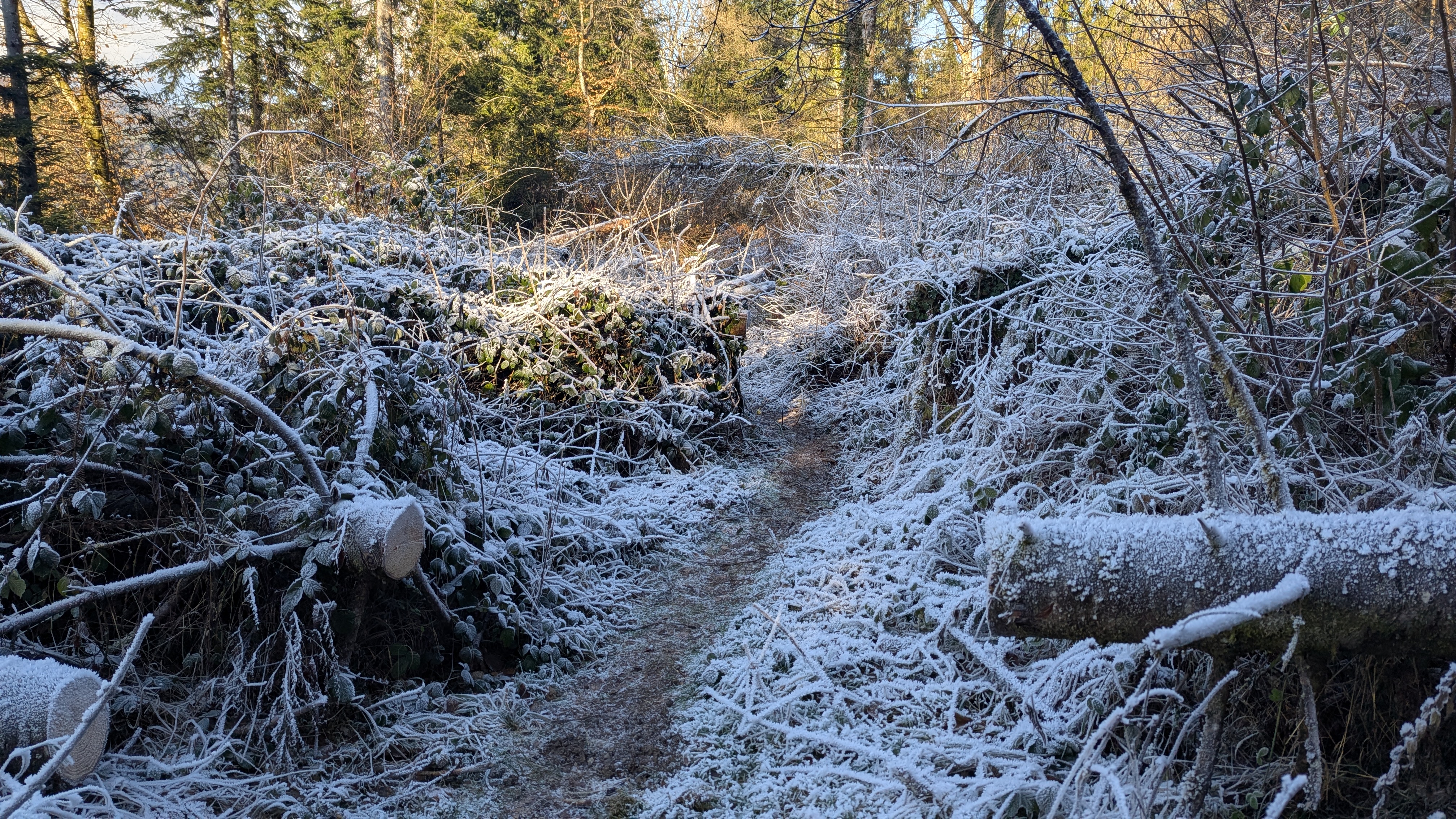 Img carrousel pour Jolie cascade