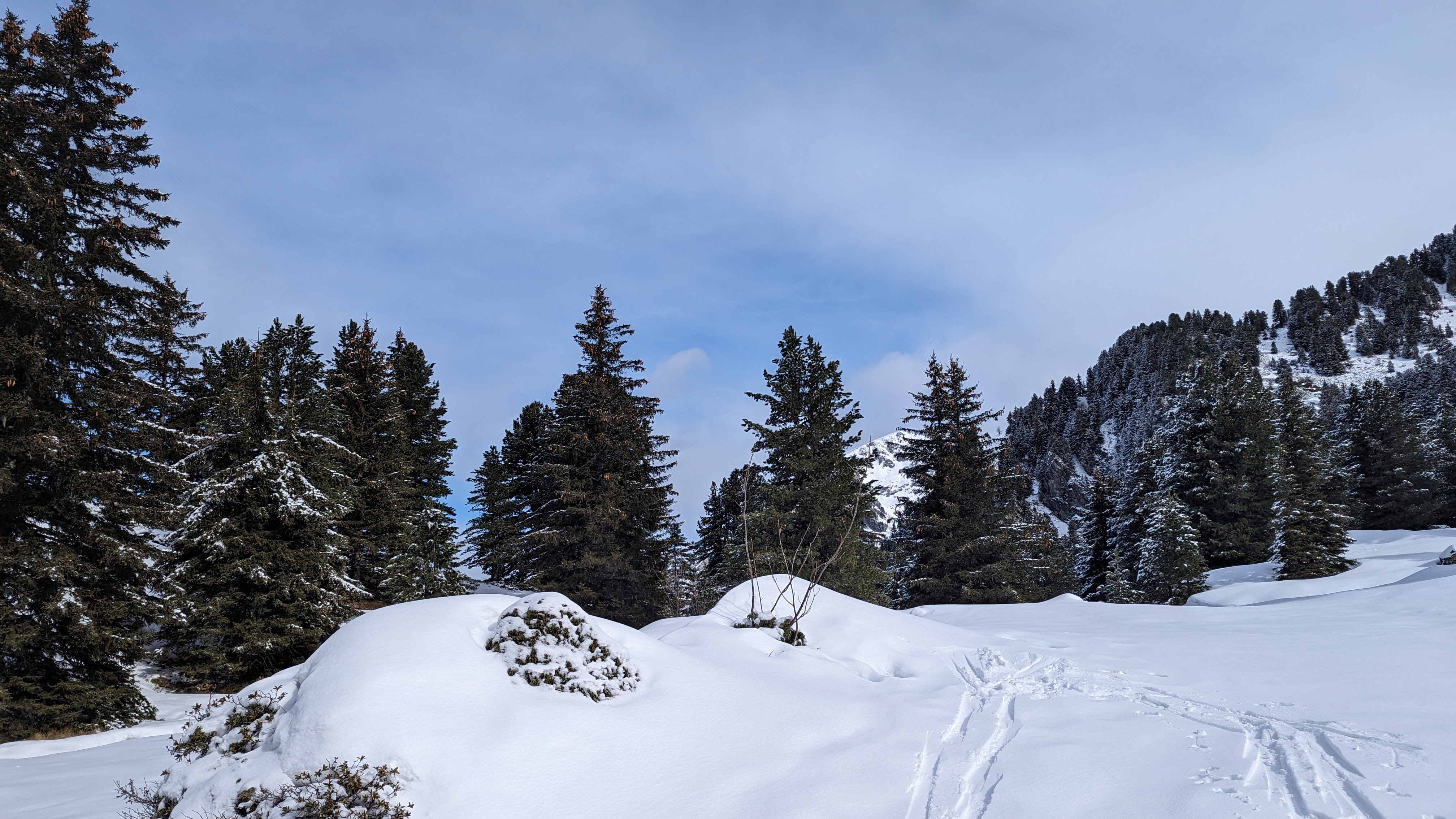 Image 3 pour Toujours à Chamrousse
