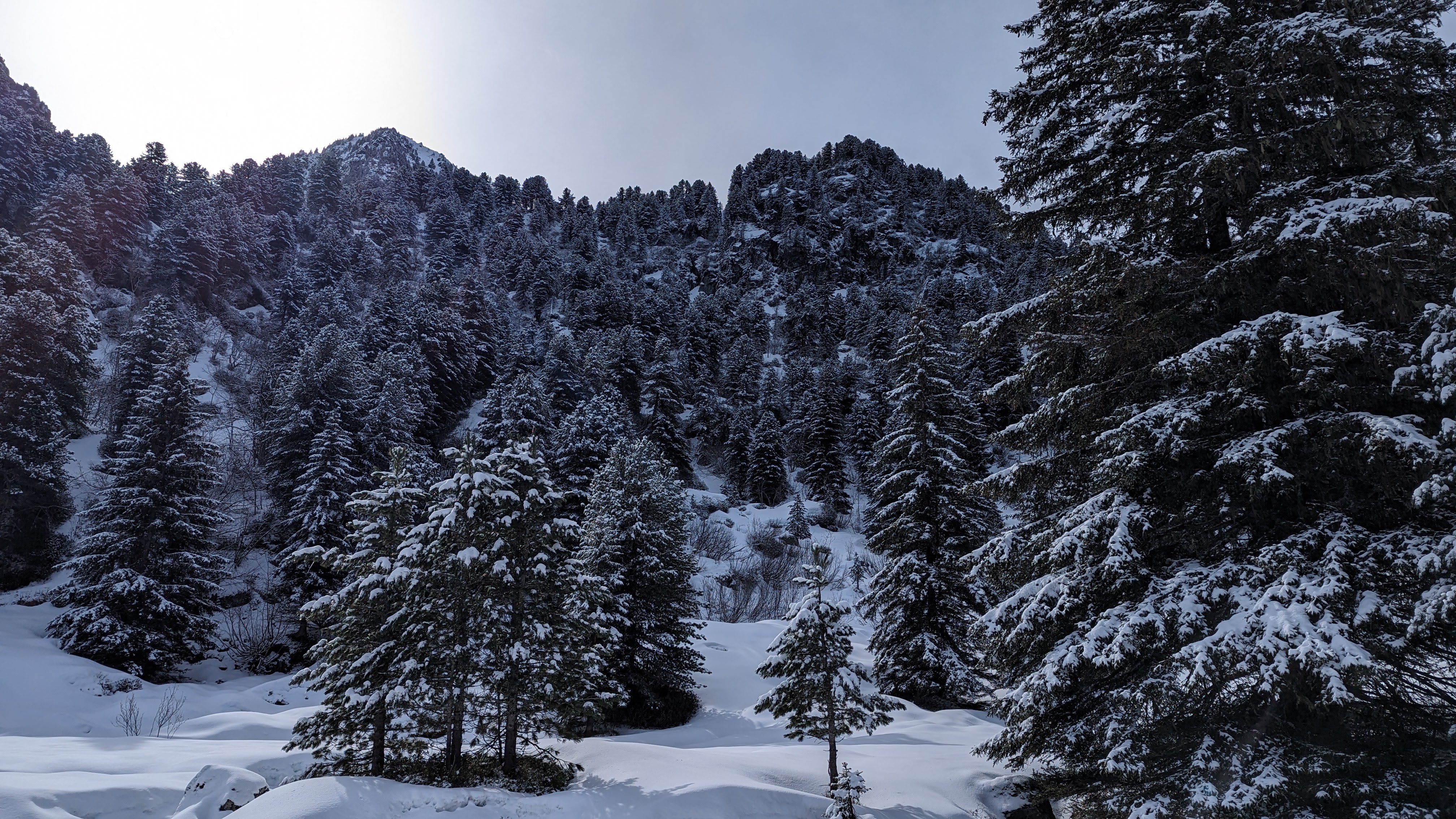 Image 4 pour Toujours à Chamrousse