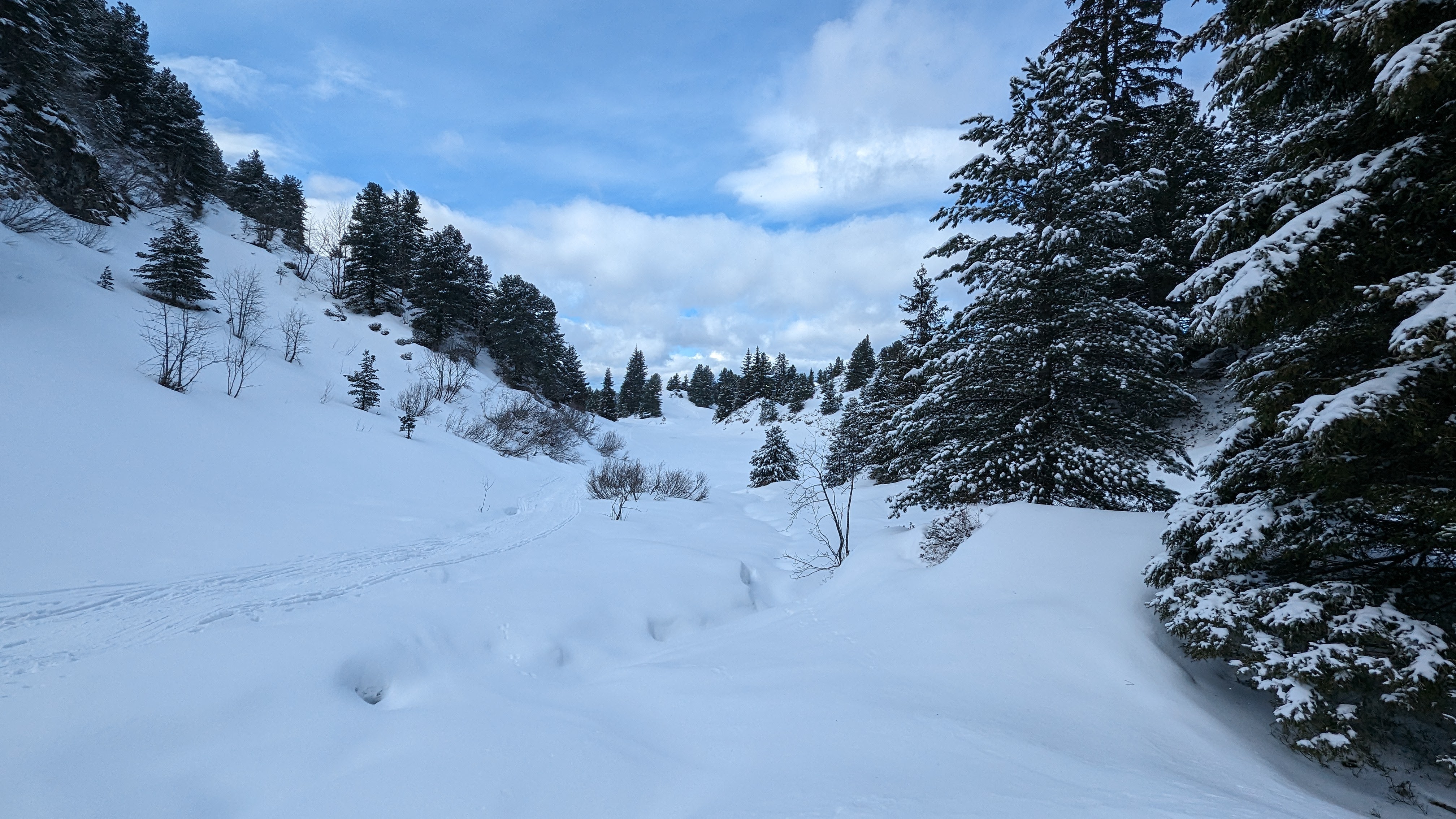 Aperçu de la sortie Toujours à Chamrousse