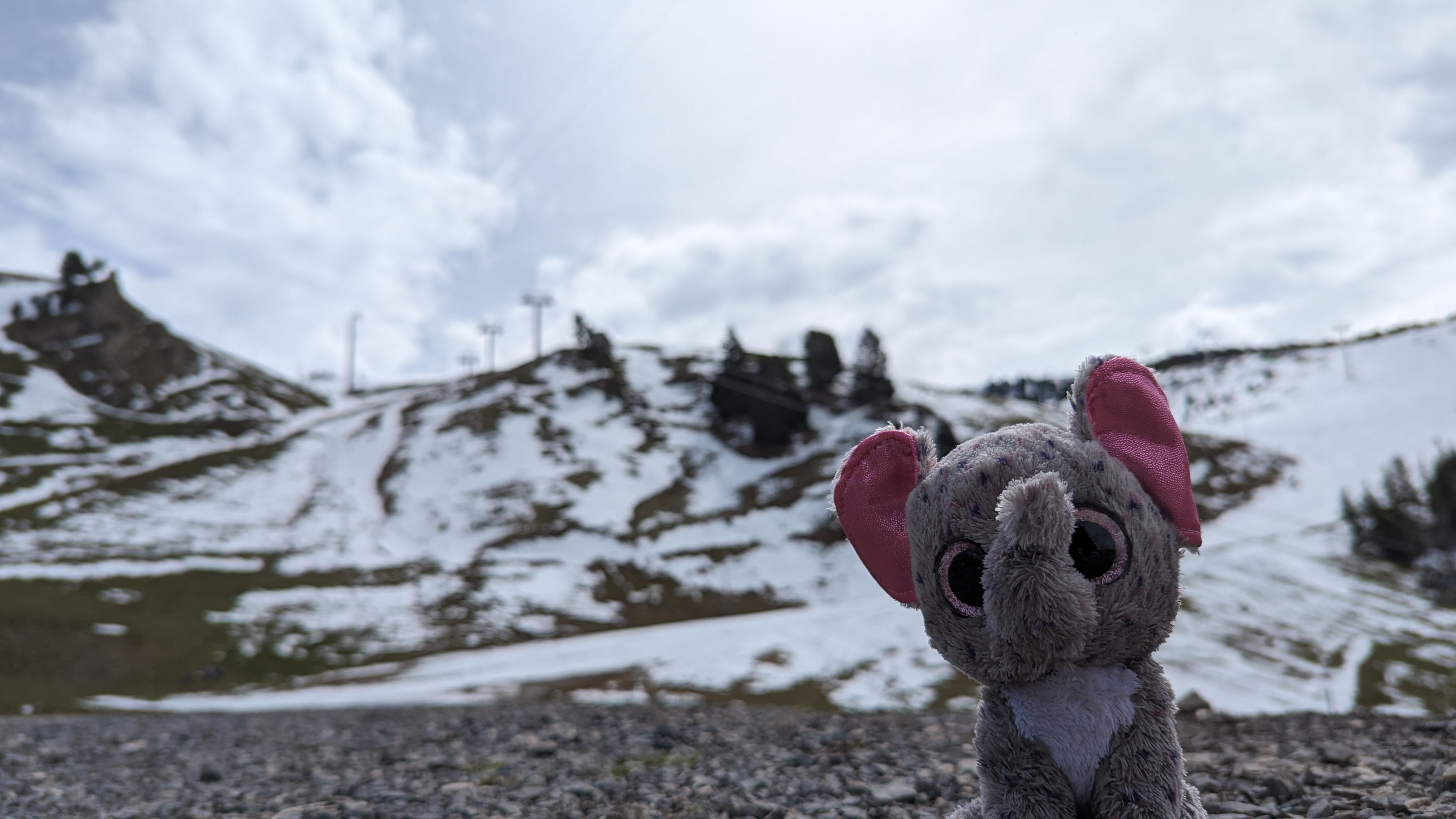 Aperçu de la sortie Sortie à Chamrousse, hors saison