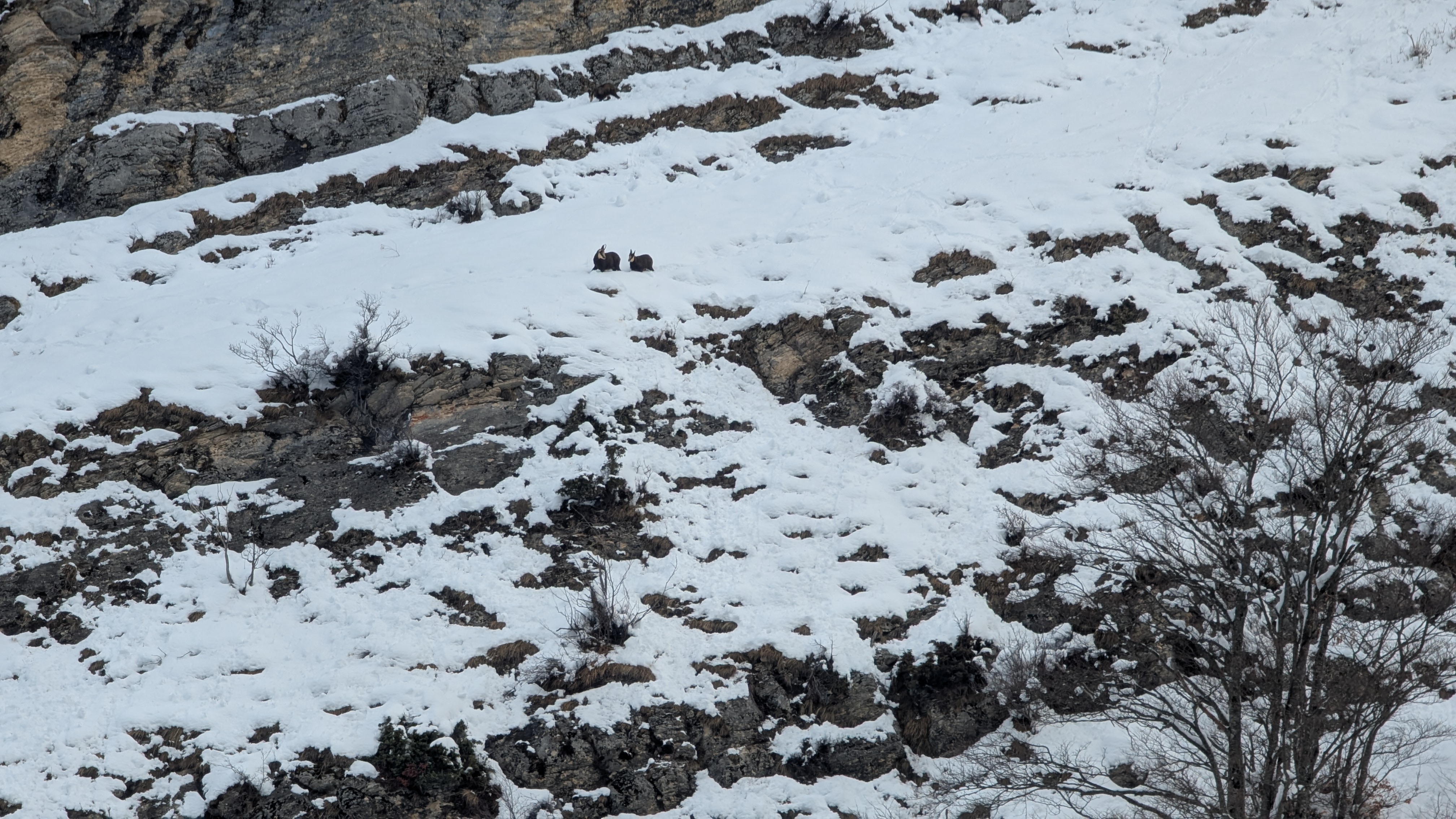 Img carrousel pour Épaule du Cornafion